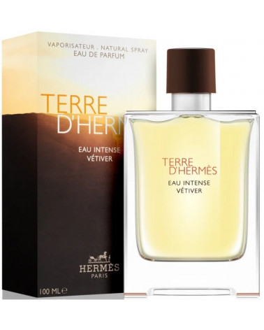 Hermès Terre D'Hermès Eau Intense Vetiver parfémovaná voda pánská 100 ml tester